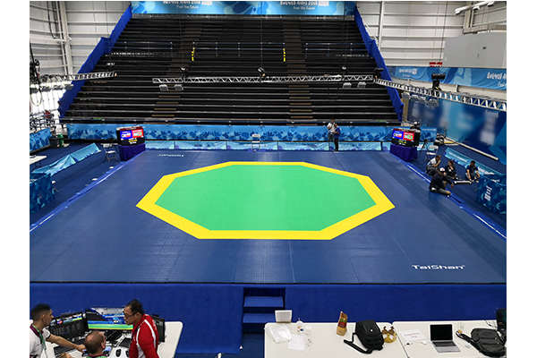 跆拳道场地（新型八角）